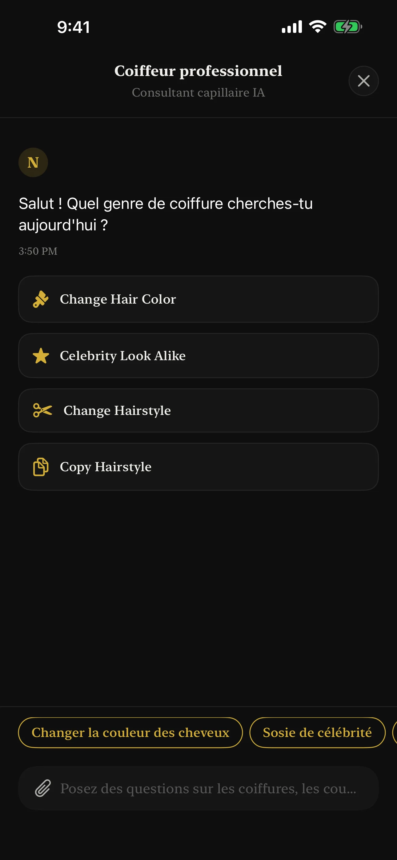 Interface de chat du Consultant IA pour des conseils de style personnalisés