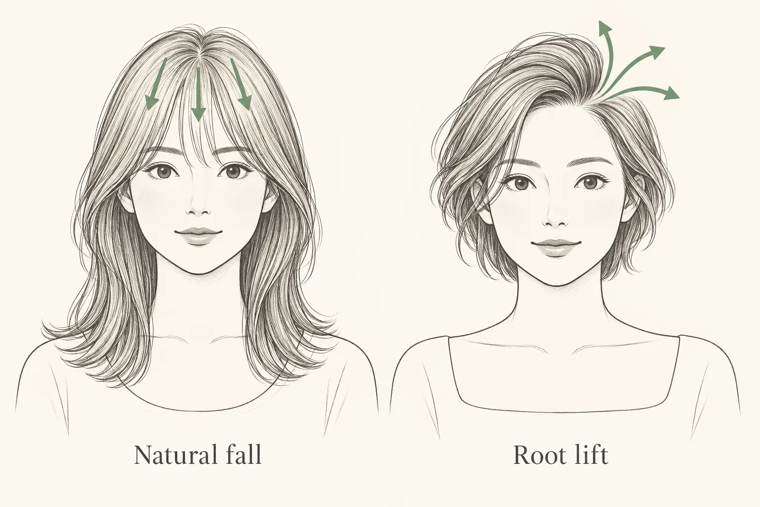Conceptual hairline drawings contrasting downward fall with outward root lift